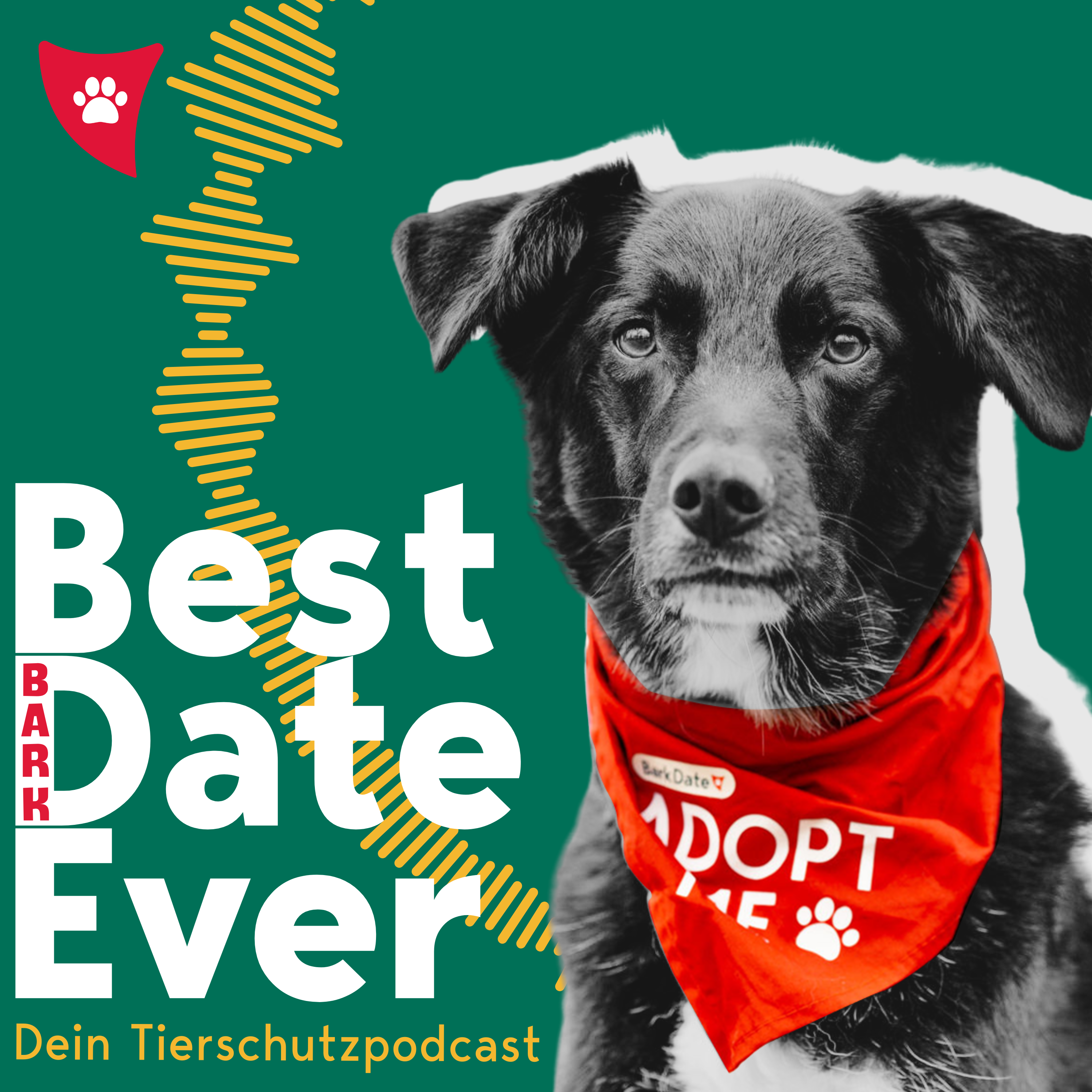 Best (Bark) Date ever! cover art