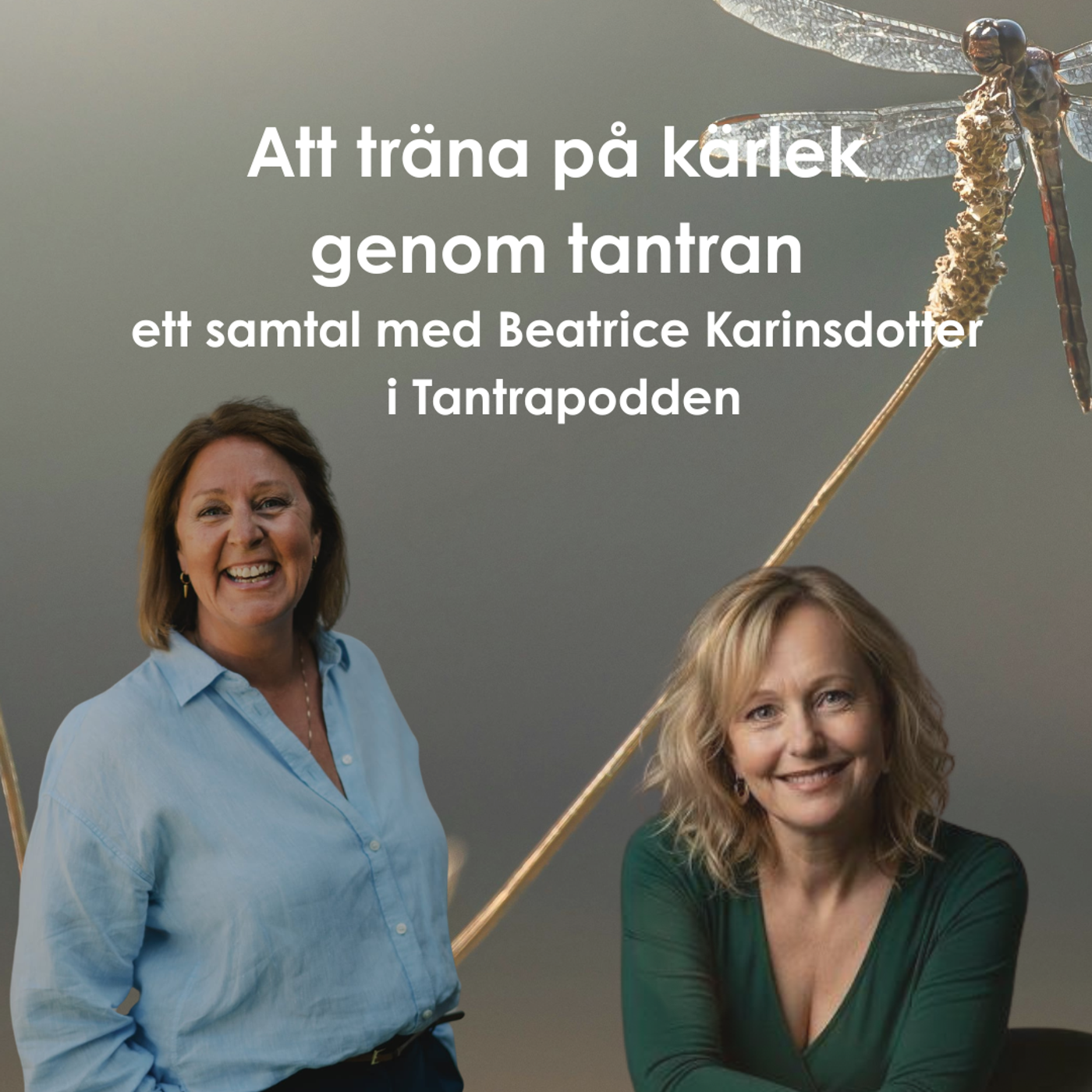 Tantrapodden