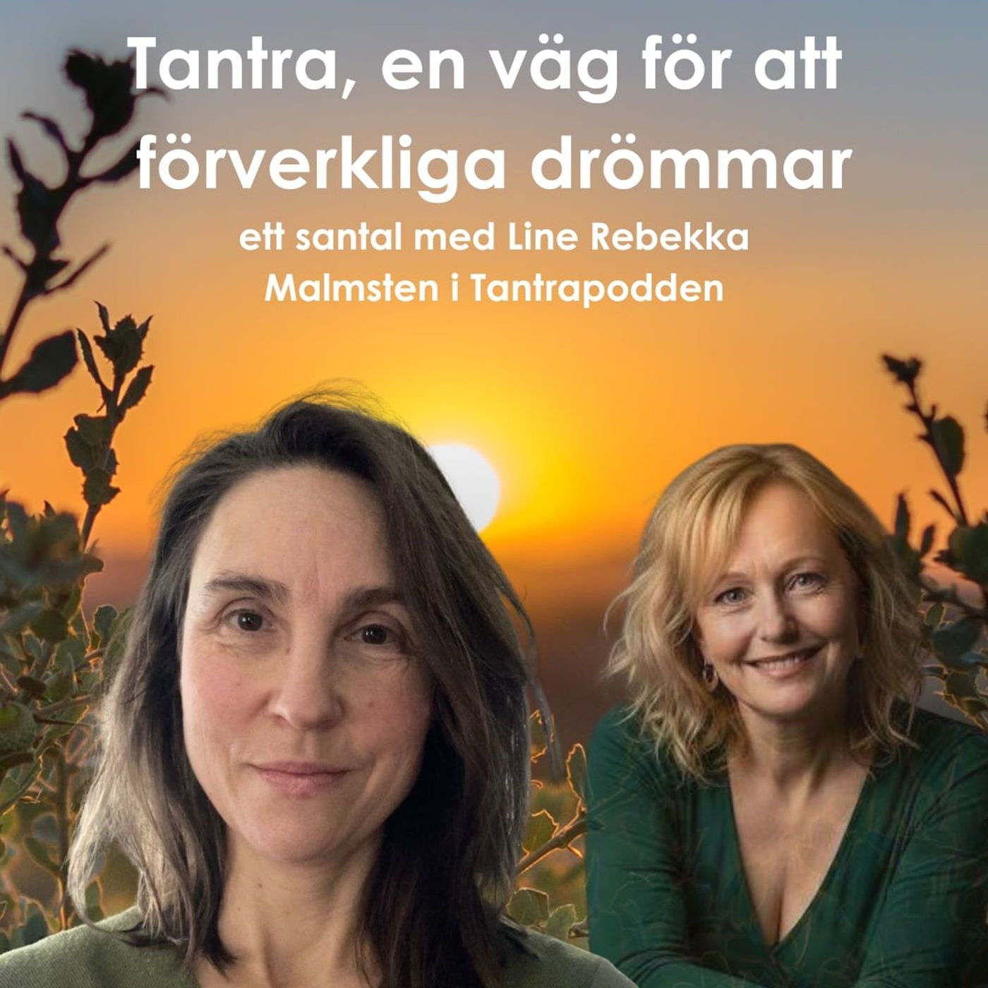Tantrapodden