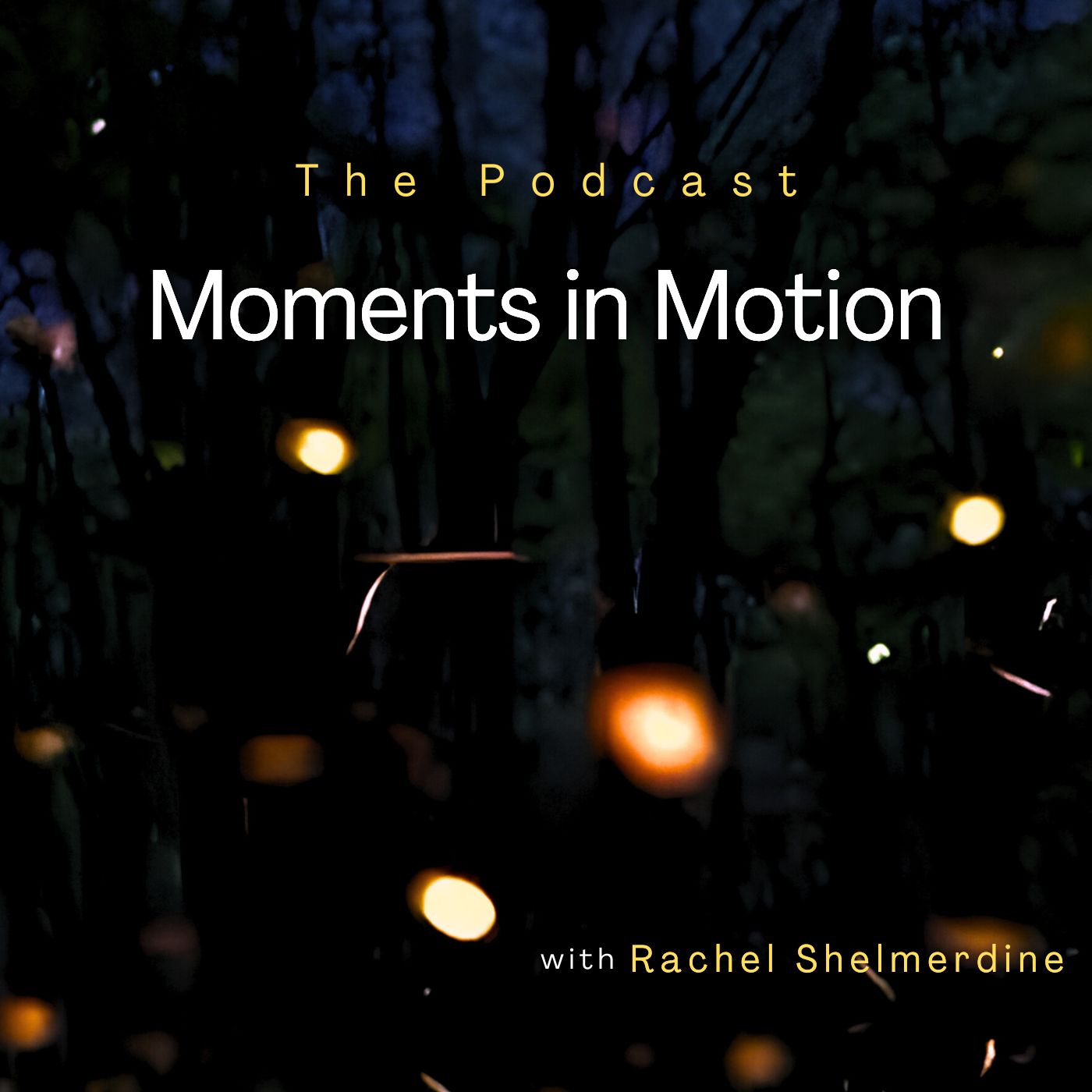 Dan Cooper:  Immersed in Creating Human Stories