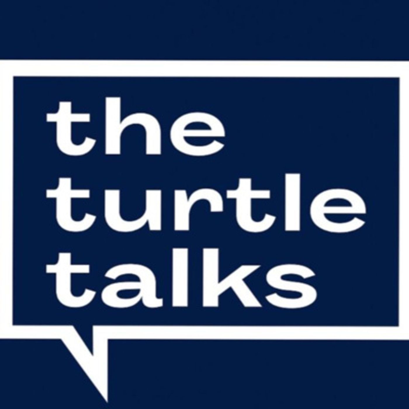 The Turtle Talks cover art