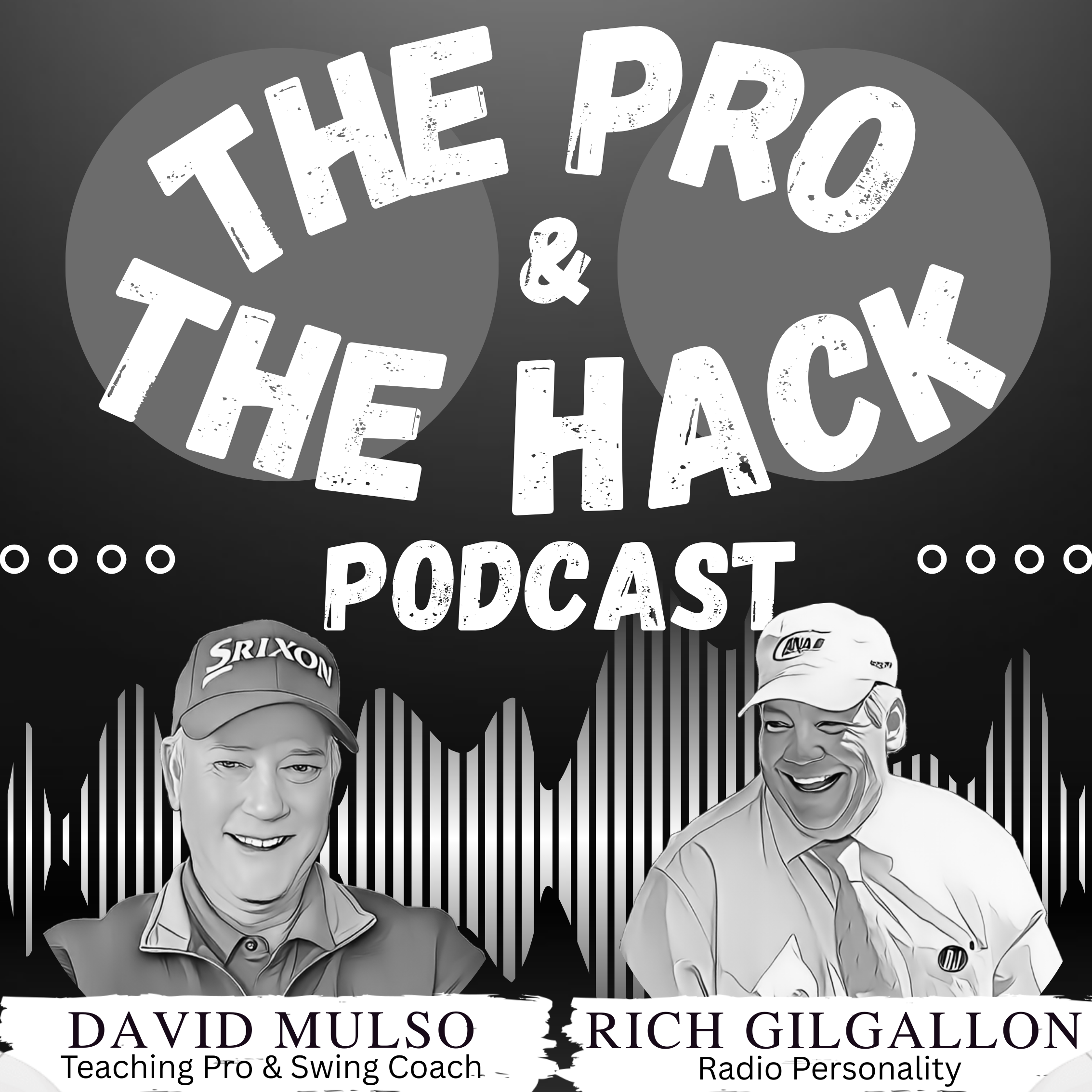 The Pro and The Hack cover art
