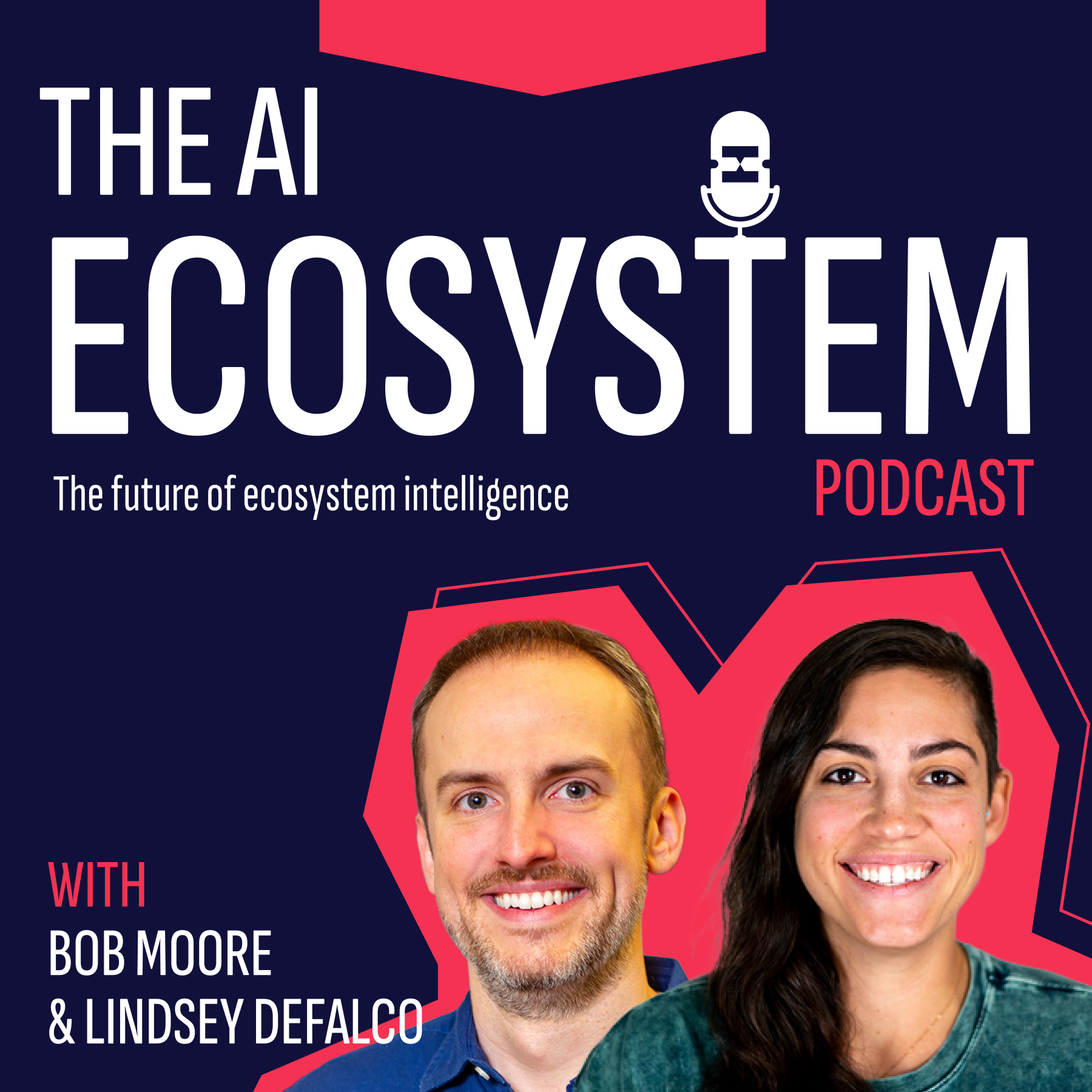 The AI Ecosystem Podcast cover art