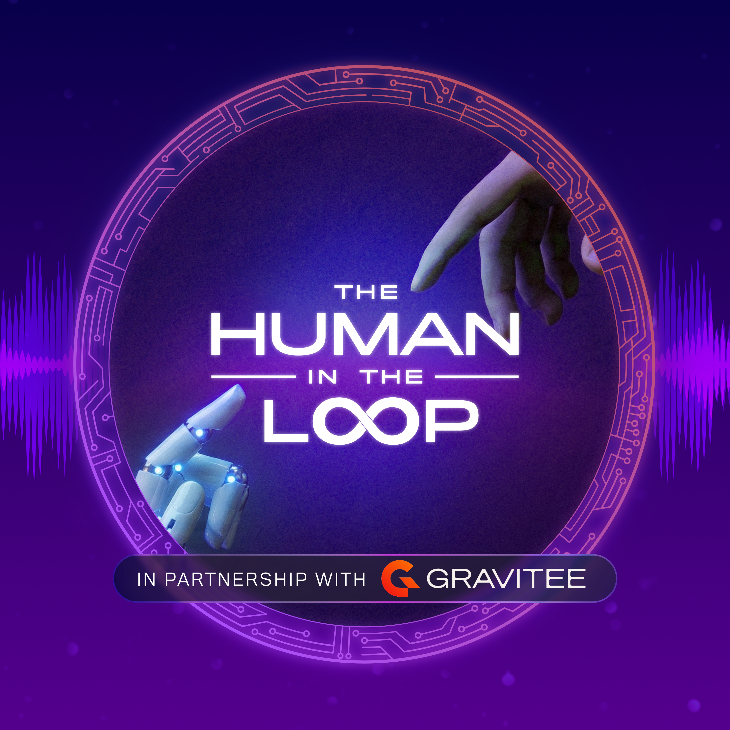 The Human in the Loop cover art