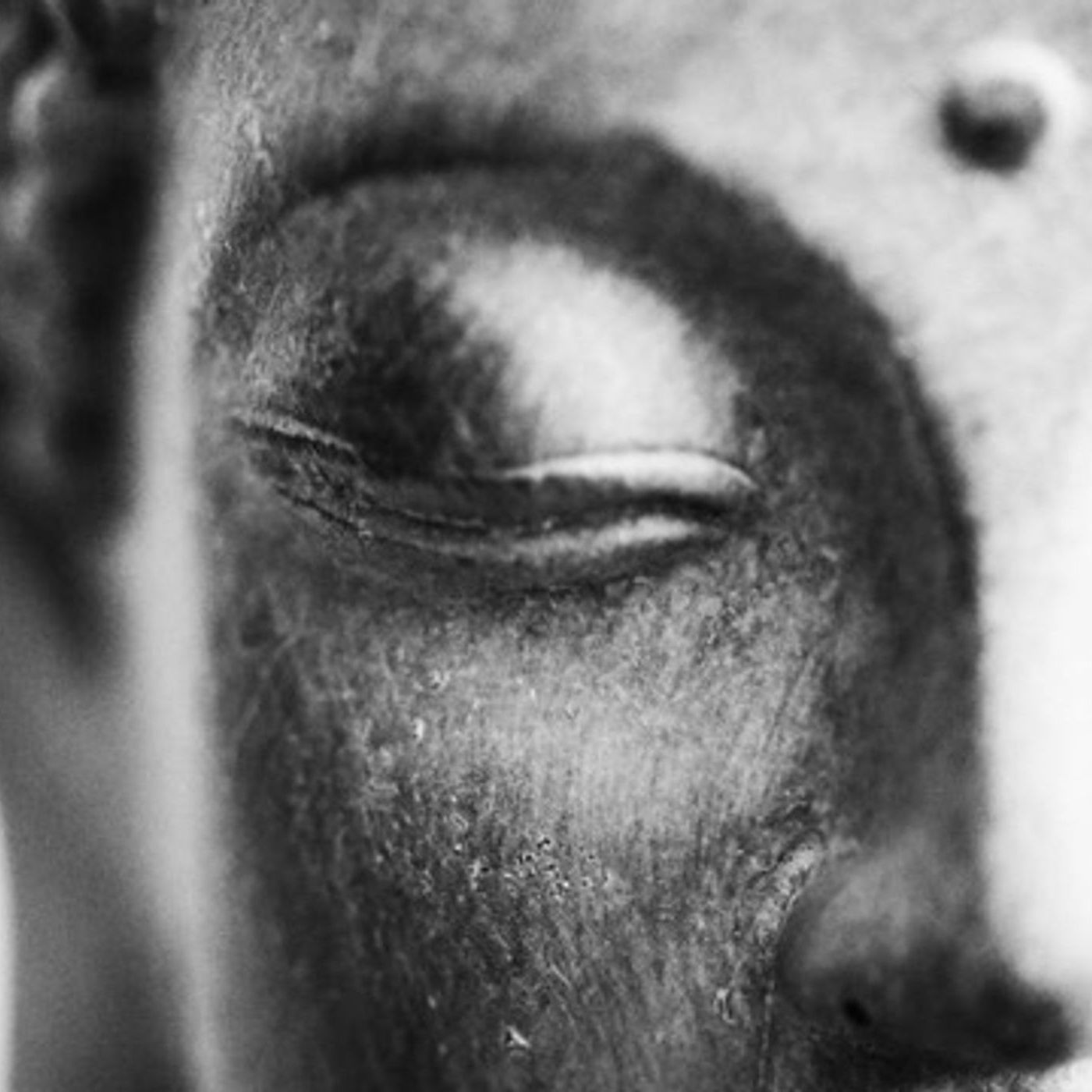 S.PRI.N.G. Dialogue S.PRI.N.G. Dialogue