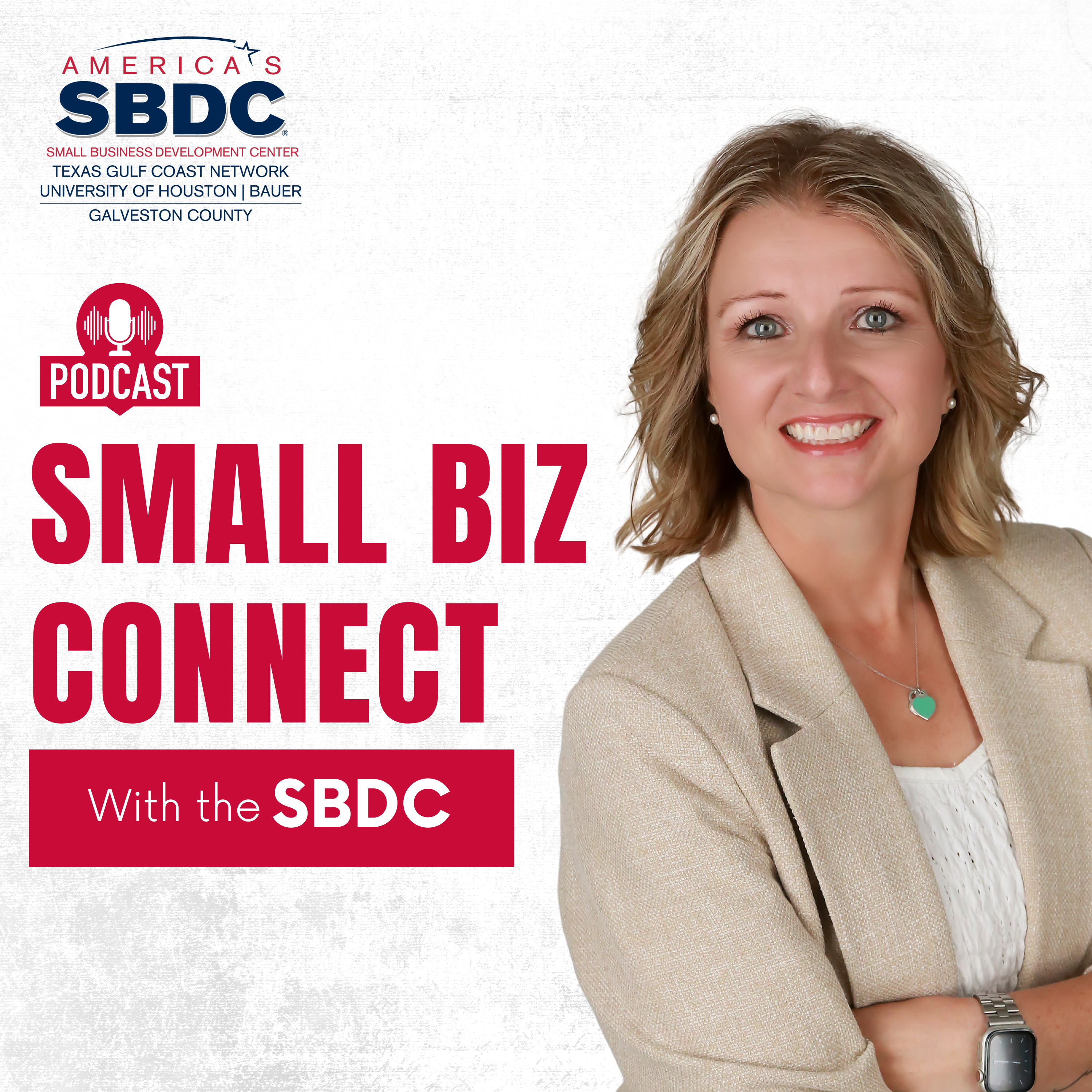Small Biz Connect