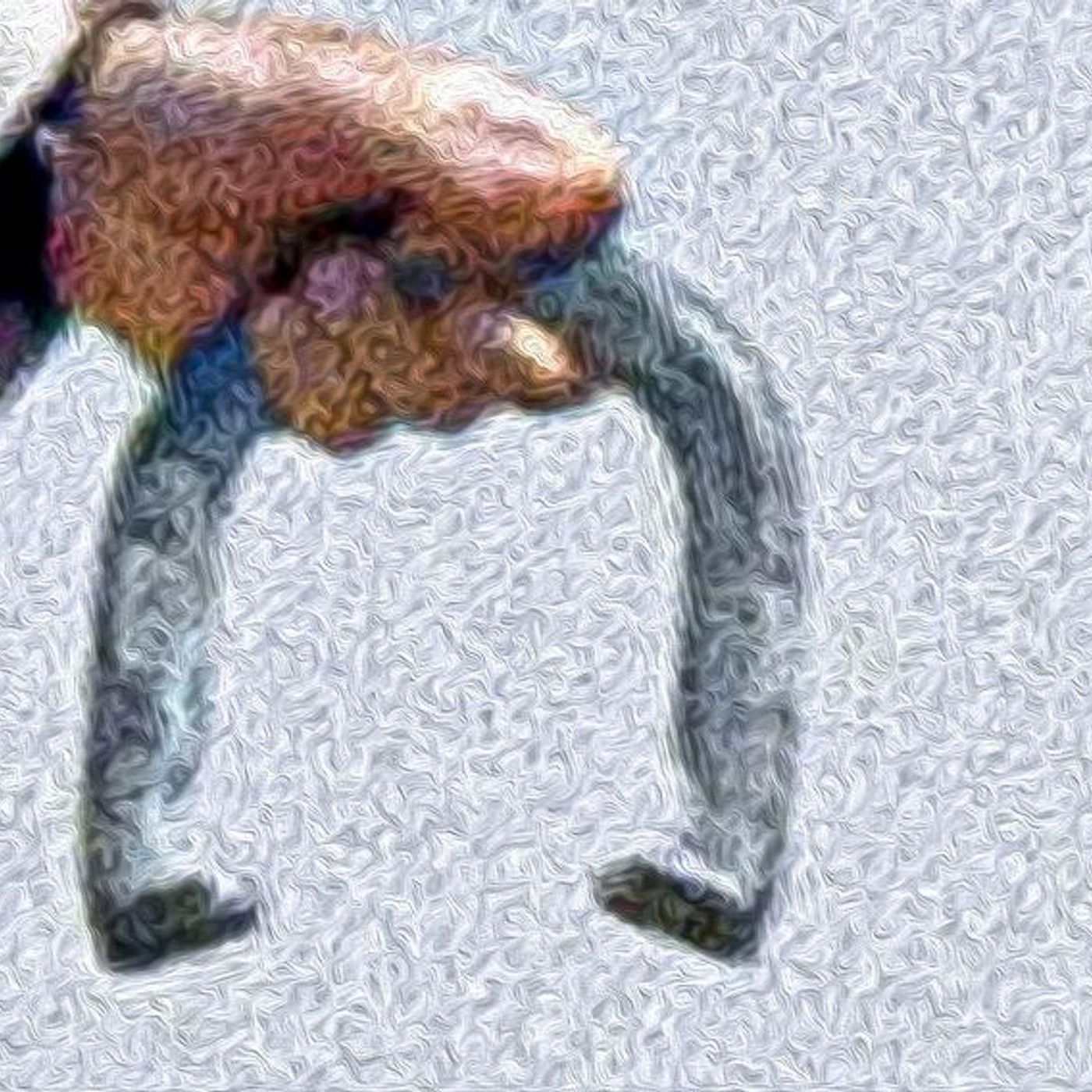 The Horseshoe Theory cover art